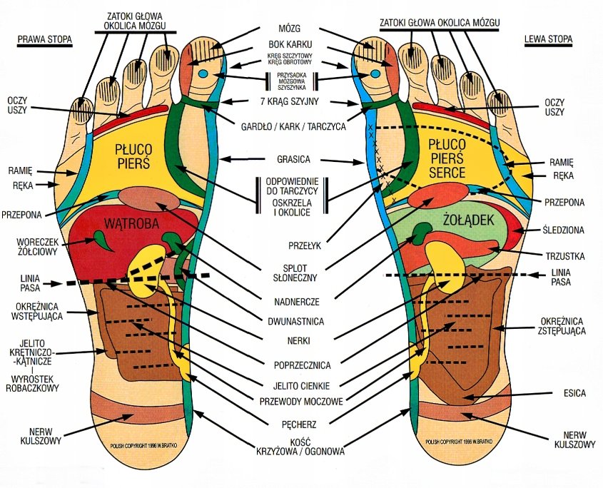 Klapki męskie MASUJĄCE zdrowotne REFLEKSOLOGIA antypoślizgowe GRANAT 44-45 - obrazek 3