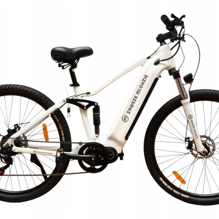 Rower Elektryczny Damski Męski ZAWSZE MLODZIE 250W 10.4Ah Koła 29″ Biały